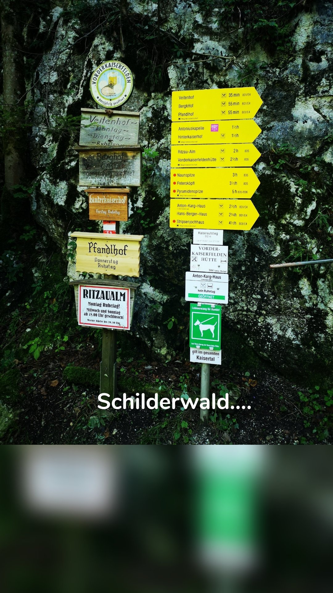 Schilderwald....